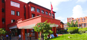 Health Ministry orders hospitals to avoid sex-selective ultrasound   