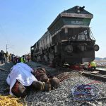 Seven elephants killed by train accident in India