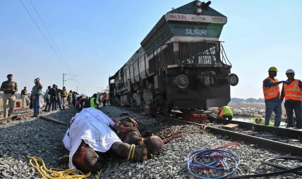 Seven elephants killed by train accident in India